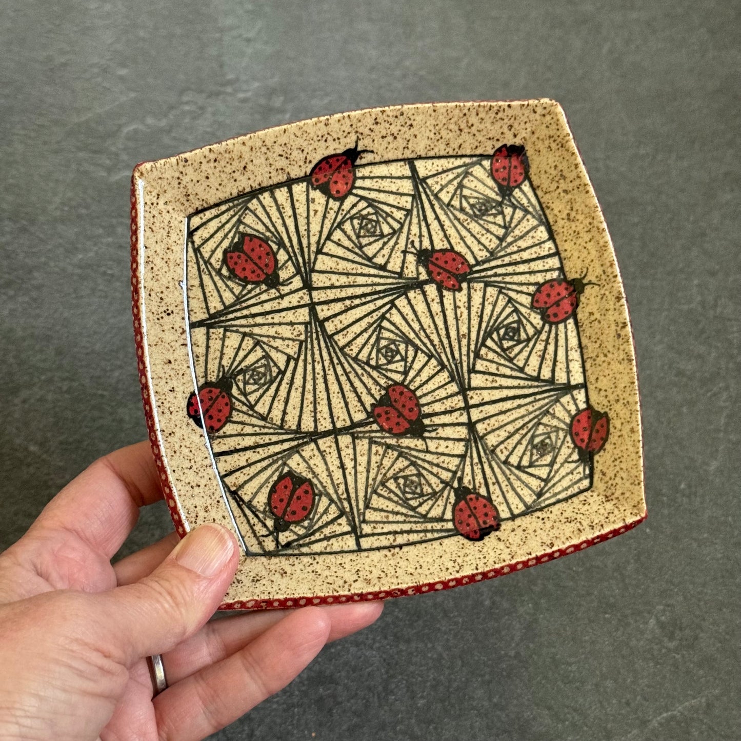Ladybug Tray