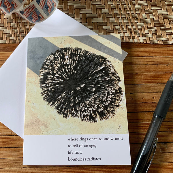 Tree Poetry Blank Note Card – Turning True Studios