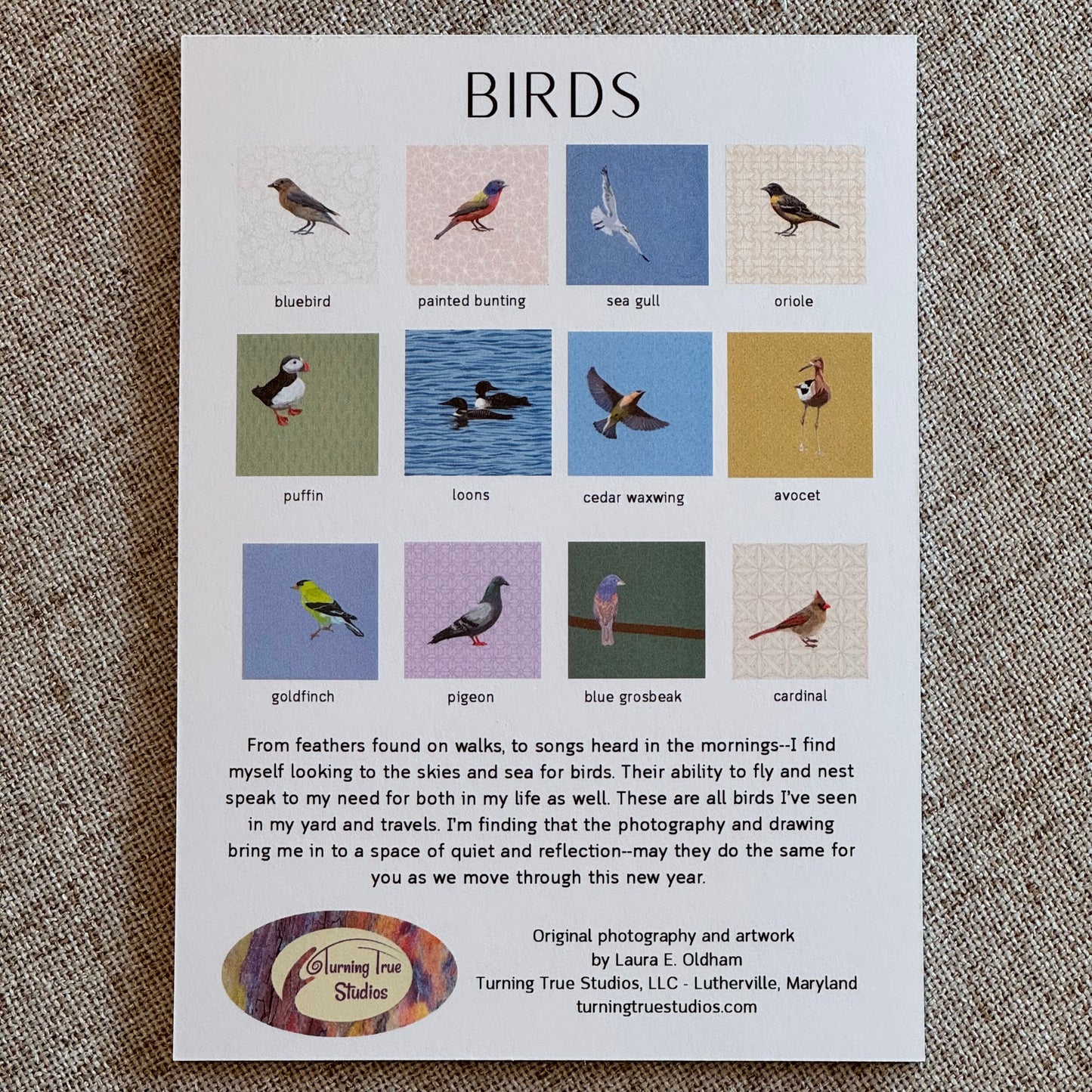 2026 -Birds- Illustrated Desk Calendar