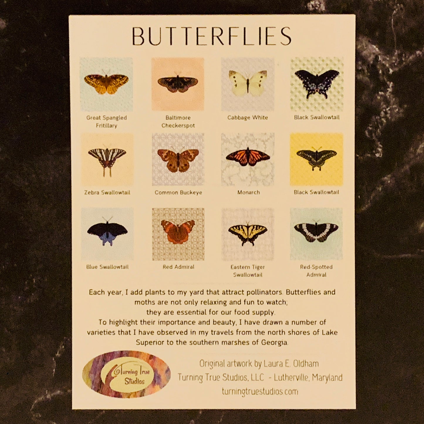 Butterflies 2024 Illustrated Desk Calendar